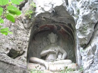 2009 China 407